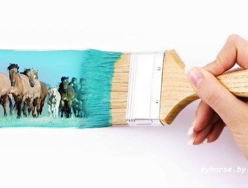 Племенная конеферма 