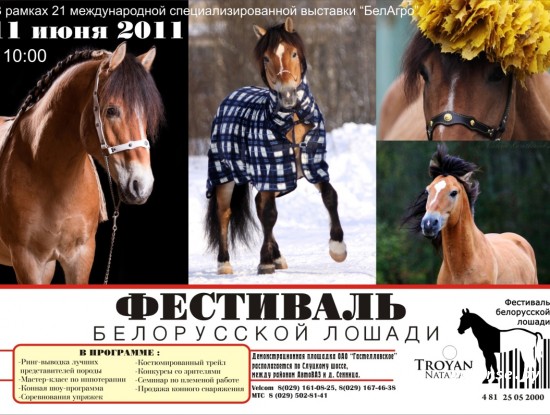 IV Фестивалю белорусской лошади 2014 быть!