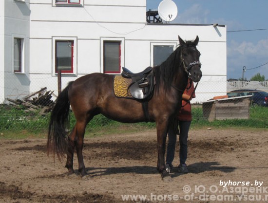 Шалена Мара