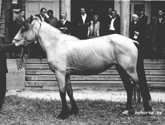 27 Боровинка II