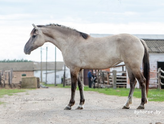 Проталинка