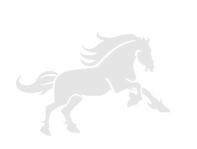 Белорусская упряжная: Гнедка