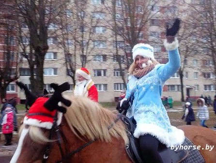 Белорусские упряжные - участники Парада Дедов Морозов и Снегурочек в Жодино.