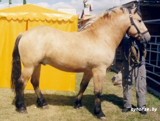 Белорусская упряжная: Гипюр 121