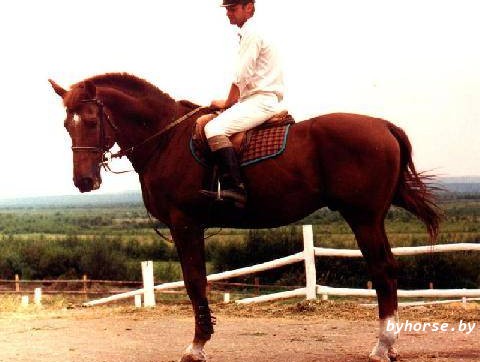 Белорусская упряжная:Обелиск