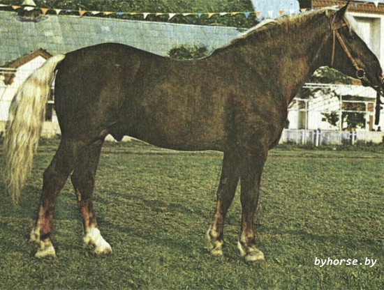 Белорусская упряжная:Урнак 11831T