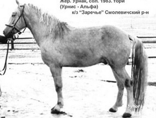 Белорусская упряжная: Урнак 12103T